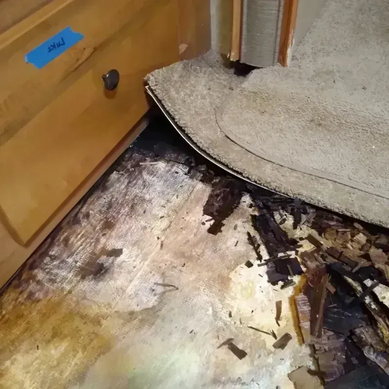 Best Wood Floor Water Damage Service in Rosita North, TX